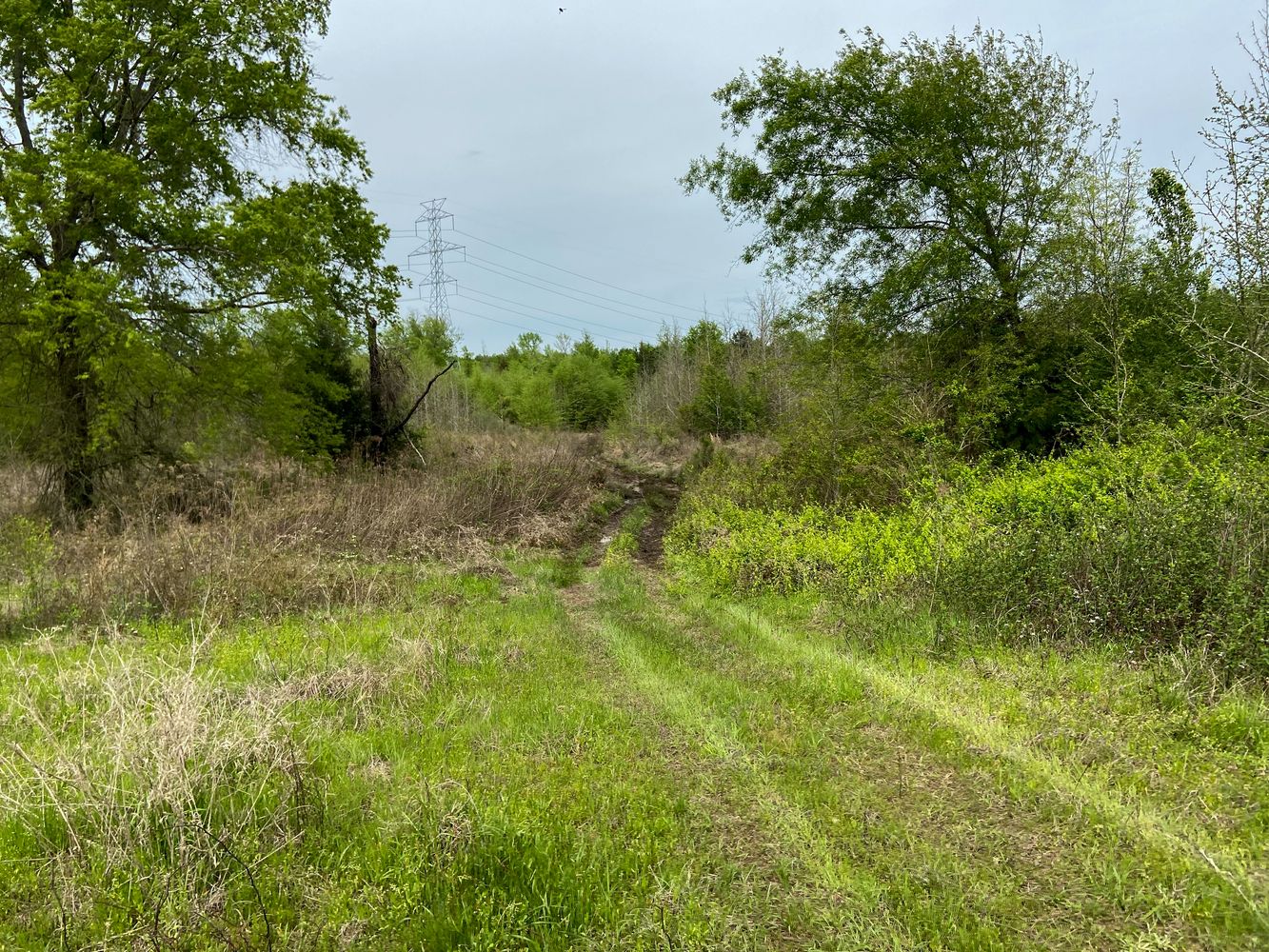 00 CR 3109, Omaha, TX 75571